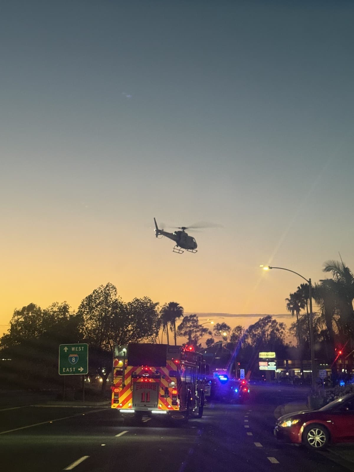 Border Patrol K-9 Airlifted to La Mesa Emergency Vet