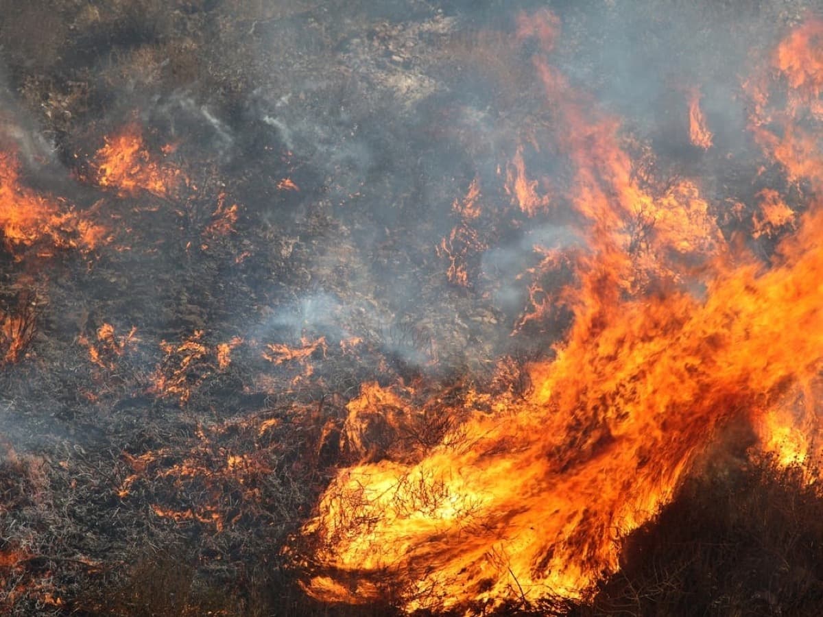 Cal Fire Pauses Residential Burn Permits as San Diego County Enters Fire Season