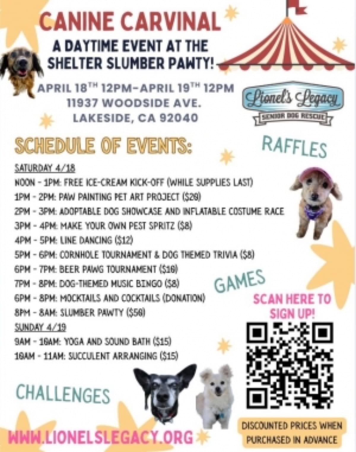Lakeside Senior Dog Rescue Hosting Canine Carnival and Sleepover This Weekend