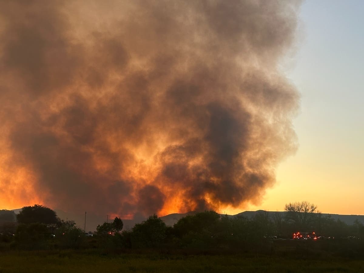 Crews Halt Brush Fire In Santee