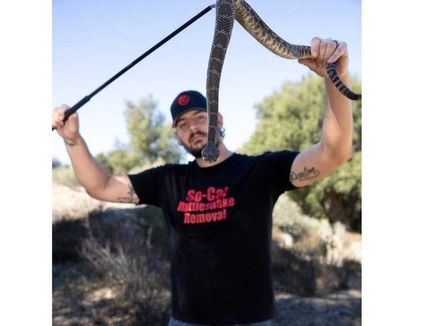 Rattlesnake Activity Is Picking Up Early. What Santee Residents Should Know