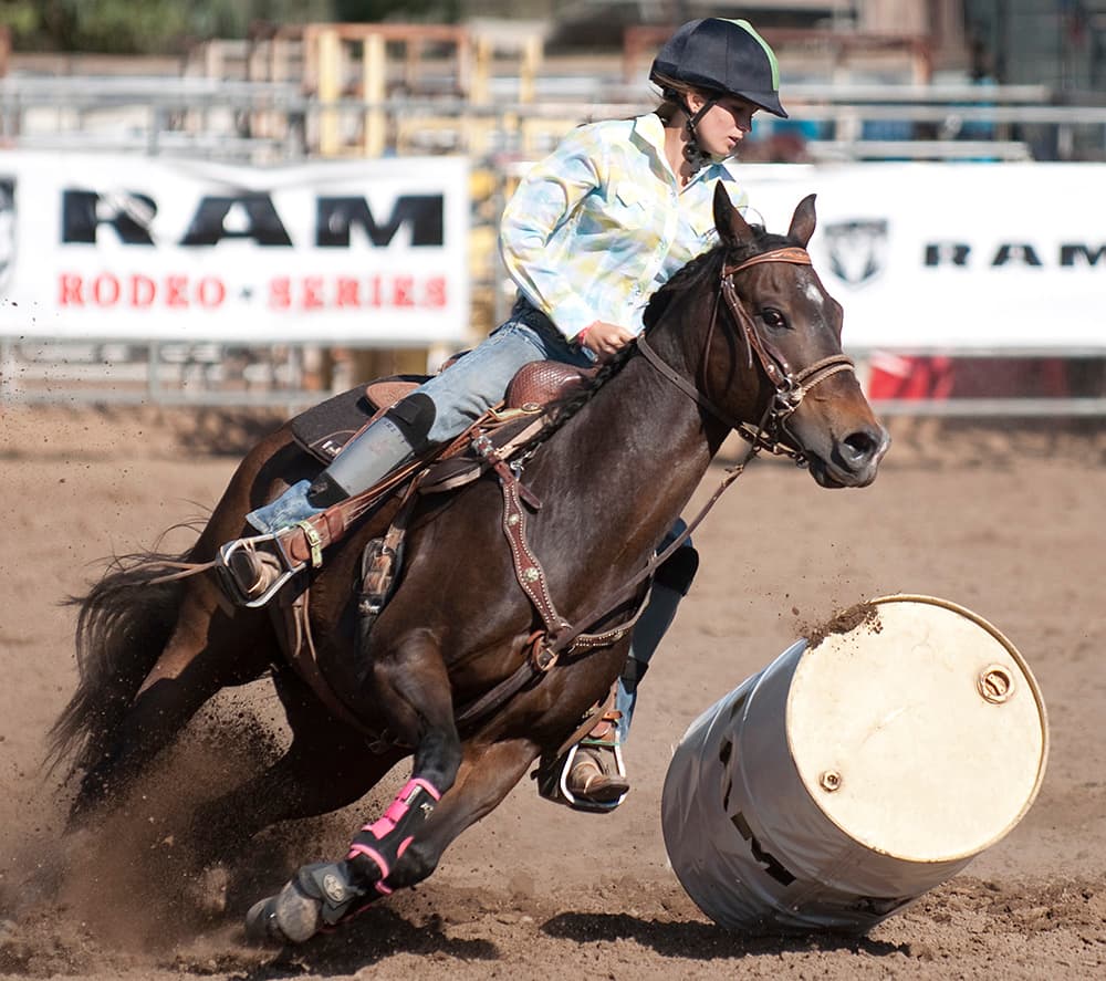 Judge Finds San Diego Rodeo Practices 'Cruel' and 'Illegal'