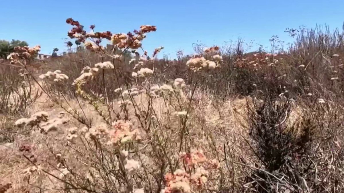 Cal Fire Warns Dry Brush Is “Ripe to Burn” as Inland Heat Builds