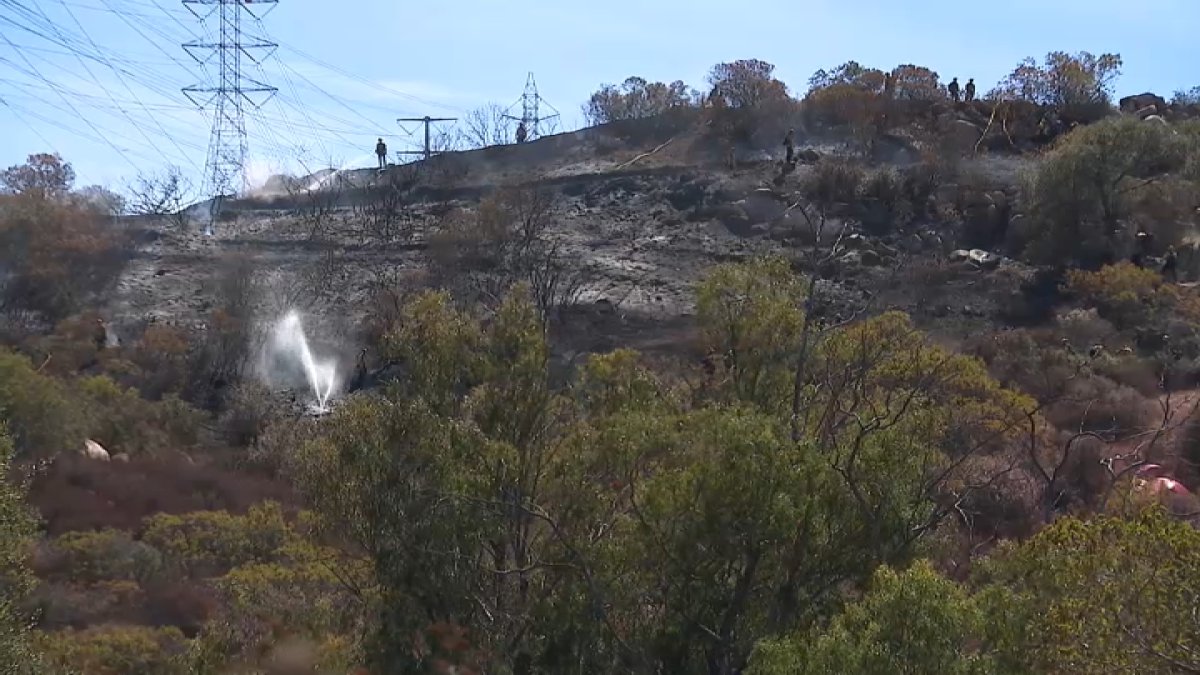 La Cresta Brush Fire Prompts Brief Evacuation Warning Near El Cajon