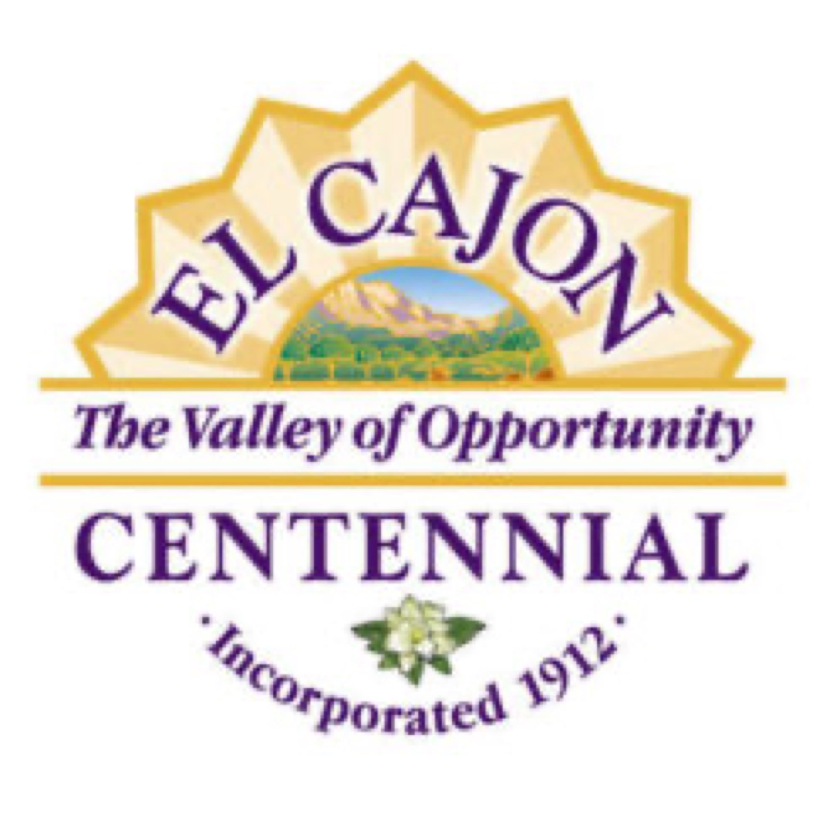 El Cajon Opens Nominations for 2026 Veteran of the Year