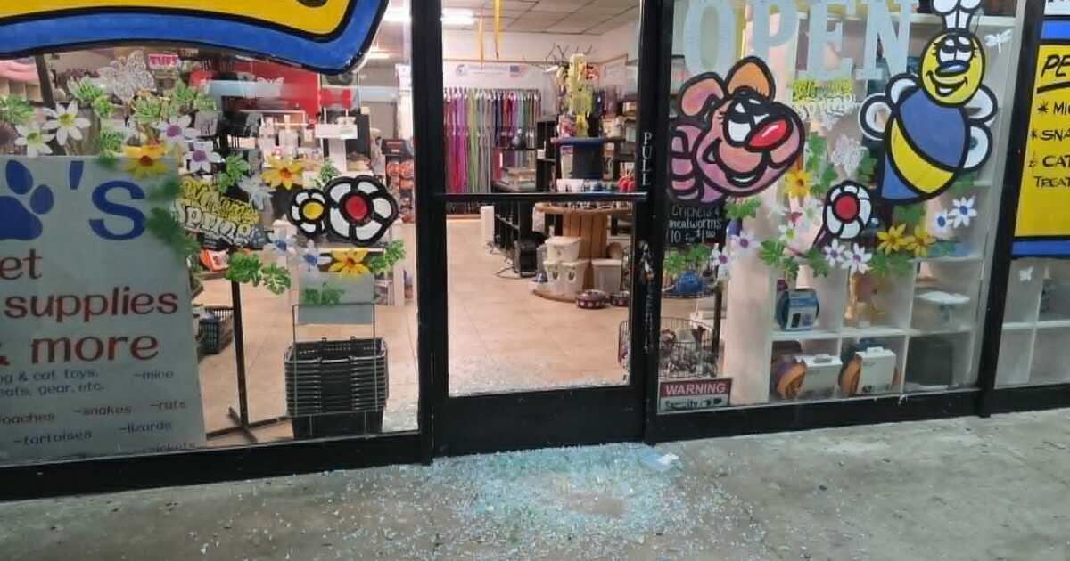 Lakeside Pet Store Break-In Ends With Snake Returned, Deputies Say